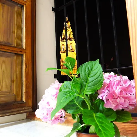 La Calleja De La Mezquita Апартаменти Кордова